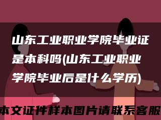 山东工业职业学院毕业证是本科吗(山东工业职业学院毕业后是什么学历)缩略图