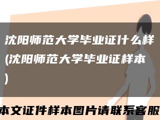 沈阳师范大学毕业证什么样(沈阳师范大学毕业证样本)缩略图