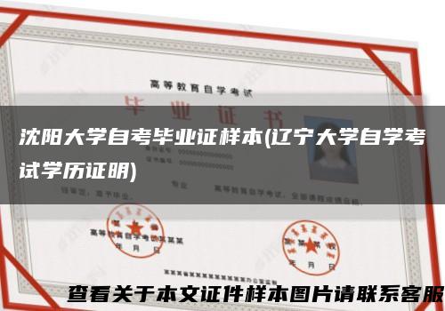 沈阳大学自考毕业证样本(辽宁大学自学考试学历证明)缩略图