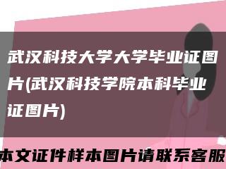 武汉科技大学大学毕业证图片(武汉科技学院本科毕业证图片)缩略图