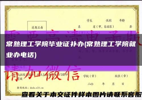 常熟理工学院毕业证补办(常熟理工学院就业办电话)缩略图