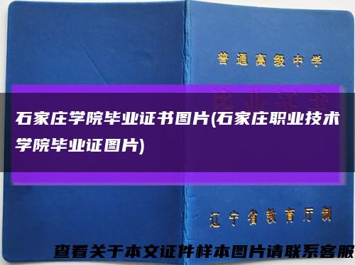 石家庄学院毕业证书图片(石家庄职业技术学院毕业证图片)缩略图
