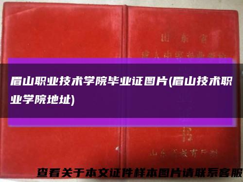 眉山职业技术学院毕业证图片(眉山技术职业学院地址)缩略图