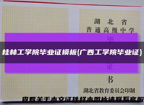 桂林工学院毕业证模板(广西工学院毕业证)缩略图