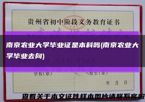 南京农业大学毕业证是本科吗(南京农业大学毕业去向)缩略图