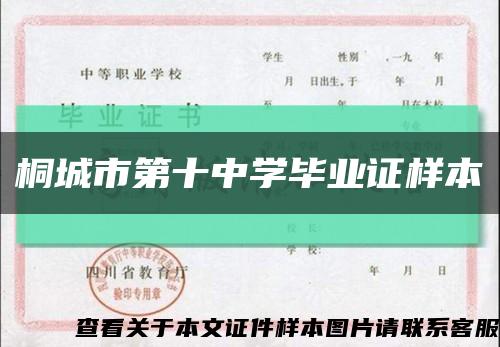 桐城市第十中学毕业证样本缩略图