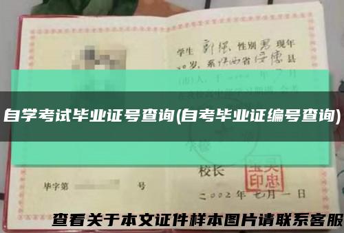 自学考试毕业证号查询(自考毕业证编号查询)缩略图