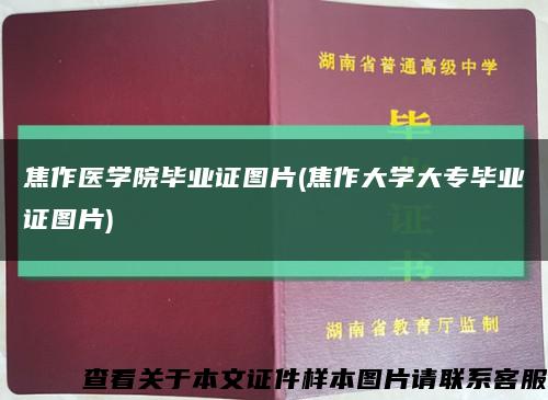 焦作医学院毕业证图片(焦作大学大专毕业证图片)缩略图