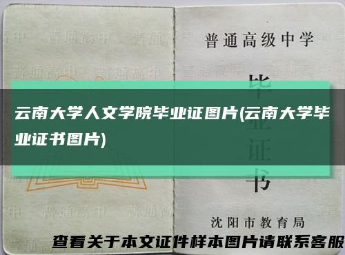 云南大学人文学院毕业证图片(云南大学毕业证书图片)缩略图