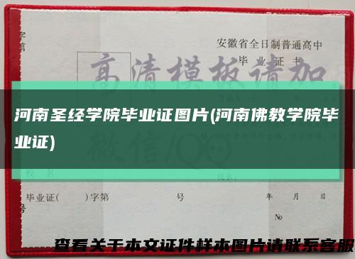河南圣经学院毕业证图片(河南佛教学院毕业证)缩略图
