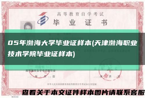 05年渤海大学毕业证样本(天津渤海职业技术学院毕业证样本)缩略图