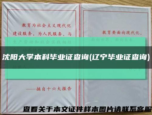 沈阳大学本科毕业证查询(辽宁毕业证查询)缩略图