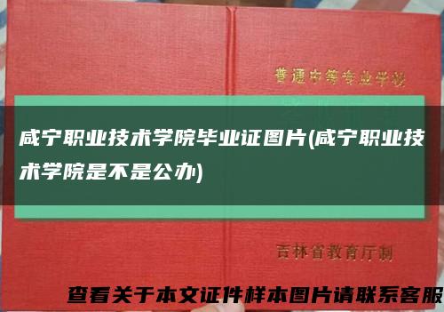 咸宁职业技术学院毕业证图片(咸宁职业技术学院是不是公办)缩略图