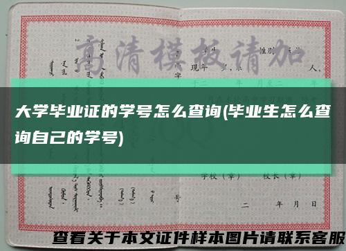 大学毕业证的学号怎么查询(毕业生怎么查询自己的学号)缩略图