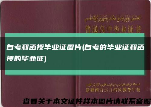 自考和函授毕业证图片(自考的毕业证和函授的毕业证)缩略图