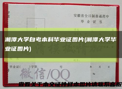 湘潭大学自考本科毕业证图片(湘潭大学毕业证图片)缩略图