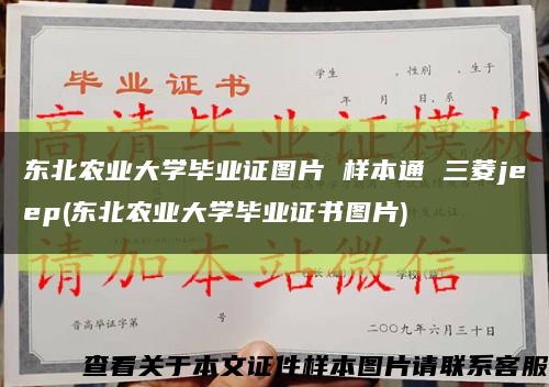 东北农业大学毕业证图片 样本通 三菱jeep(东北农业大学毕业证书图片)缩略图