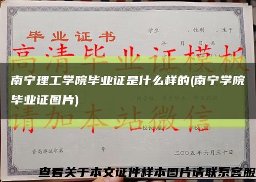 南宁理工学院毕业证是什么样的(南宁学院毕业证图片)缩略图
