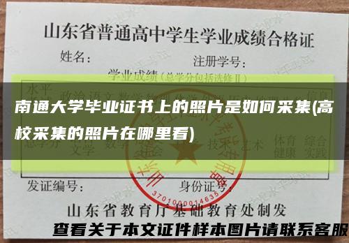 南通大学毕业证书上的照片是如何采集(高校采集的照片在哪里看)缩略图