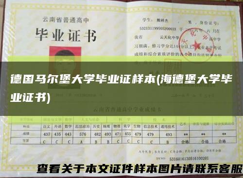 德国马尔堡大学毕业证样本(海德堡大学毕业证书)缩略图