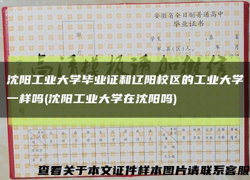 沈阳工业大学毕业证和辽阳校区的工业大学一样吗(沈阳工业大学在沈阳吗)缩略图