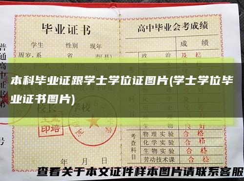 本科毕业证跟学士学位证图片(学士学位毕业证书图片)缩略图