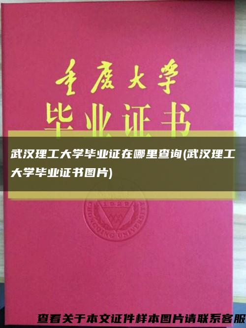 武汉理工大学毕业证在哪里查询(武汉理工大学毕业证书图片)缩略图