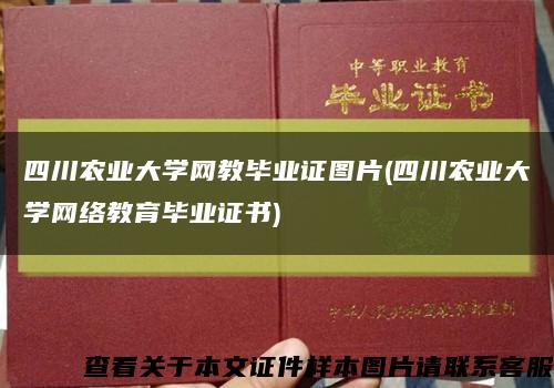 四川农业大学网教毕业证图片(四川农业大学网络教育毕业证书)缩略图