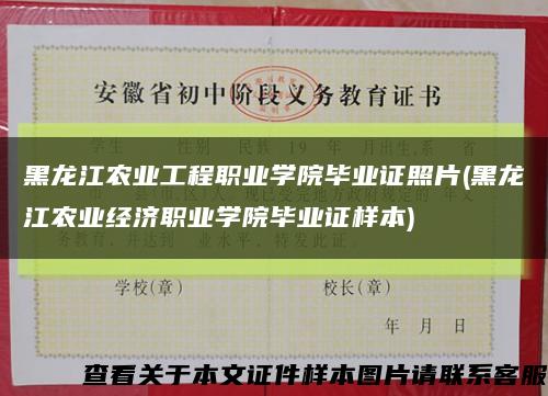 黑龙江农业工程职业学院毕业证照片(黑龙江农业经济职业学院毕业证样本)缩略图