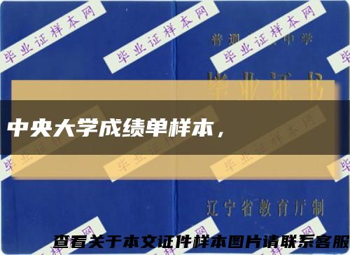 中央大学成绩单样本，중앙대학교 성적표缩略图