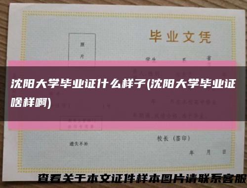 沈阳大学毕业证什么样子(沈阳大学毕业证啥样啊)缩略图