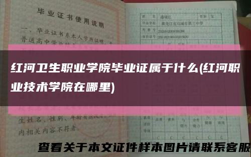 红河卫生职业学院毕业证属于什么(红河职业技术学院在哪里)缩略图