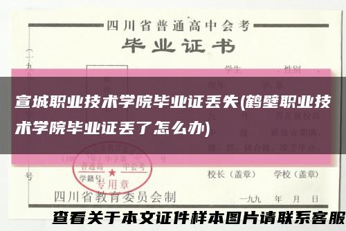 宣城职业技术学院毕业证丢失(鹤壁职业技术学院毕业证丢了怎么办)缩略图