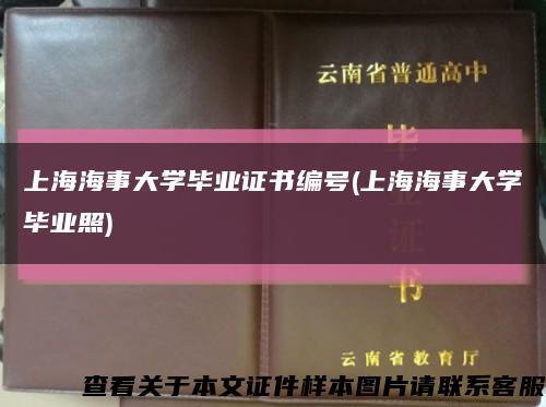 上海海事大学毕业证书编号(上海海事大学毕业照)缩略图