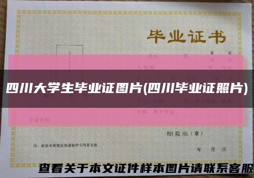 四川大学生毕业证图片(四川毕业证照片)缩略图