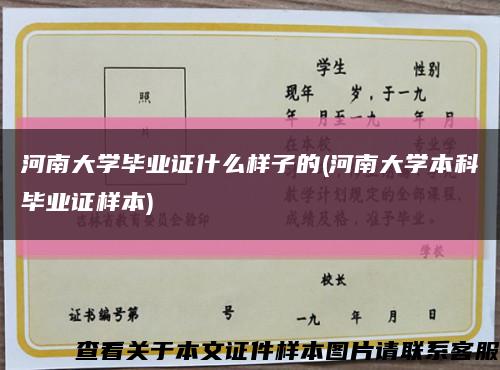 河南大学毕业证什么样子的(河南大学本科毕业证样本)缩略图