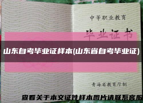 山东自考毕业证样本(山东省自考毕业证)缩略图