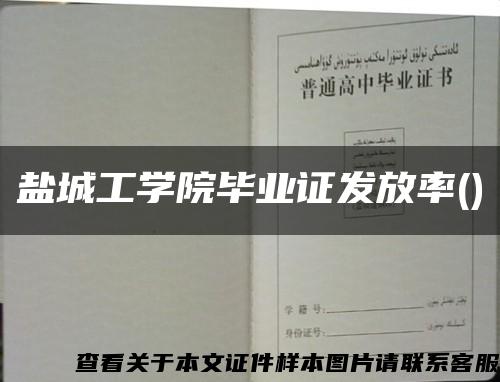 盐城工学院毕业证发放率()缩略图
