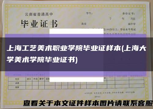 上海工艺美术职业学院毕业证样本(上海大学美术学院毕业证书)缩略图