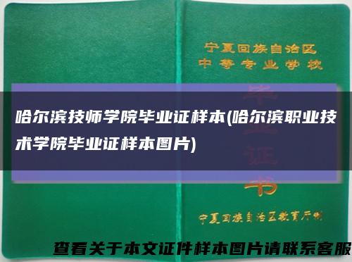 哈尔滨技师学院毕业证样本(哈尔滨职业技术学院毕业证样本图片)缩略图