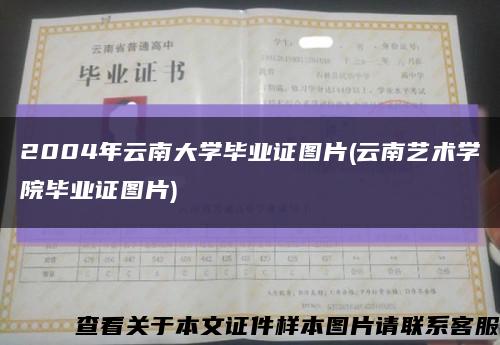 2004年云南大学毕业证图片(云南艺术学院毕业证图片)缩略图