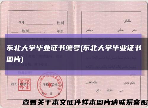 东北大学毕业证书编号(东北大学毕业证书图片)缩略图