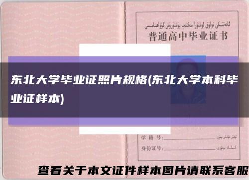 东北大学毕业证照片规格(东北大学本科毕业证样本)缩略图