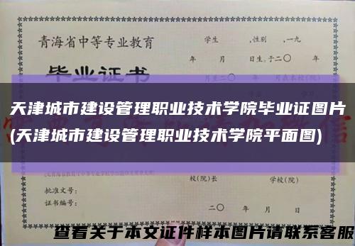 天津城市建设管理职业技术学院毕业证图片(天津城市建设管理职业技术学院平面图)缩略图