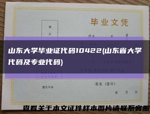 山东大学毕业证代码10422(山东省大学代码及专业代码)缩略图