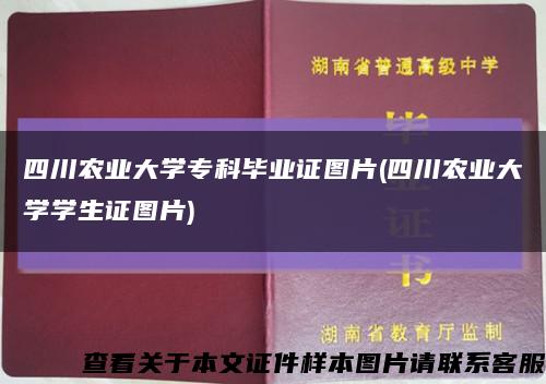 四川农业大学专科毕业证图片(四川农业大学学生证图片)缩略图