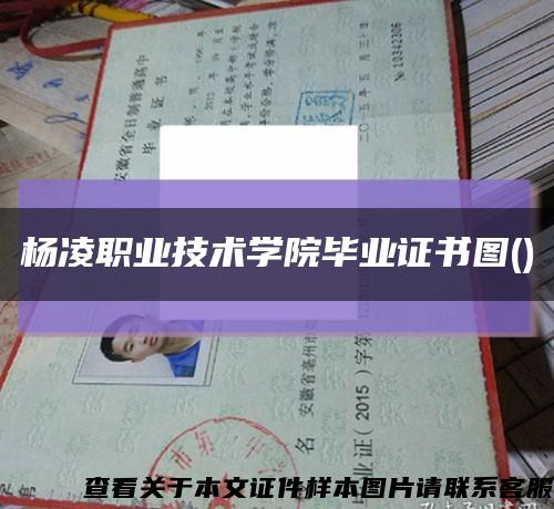 杨凌职业技术学院毕业证书图()缩略图