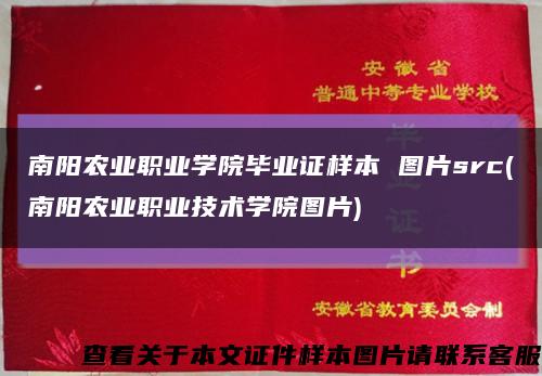 南阳农业职业学院毕业证样本 图片src(南阳农业职业技术学院图片)缩略图
