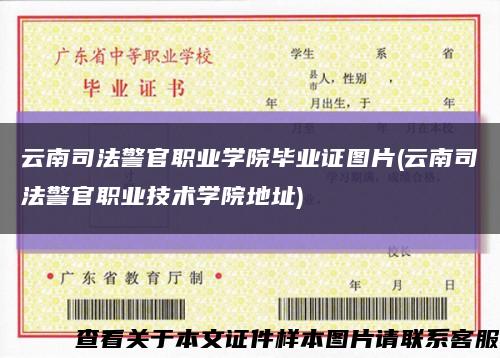 云南司法警官职业学院毕业证图片(云南司法警官职业技术学院地址)缩略图