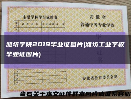 潍坊学院2019毕业证图片(潍坊工业学校毕业证图片)缩略图
